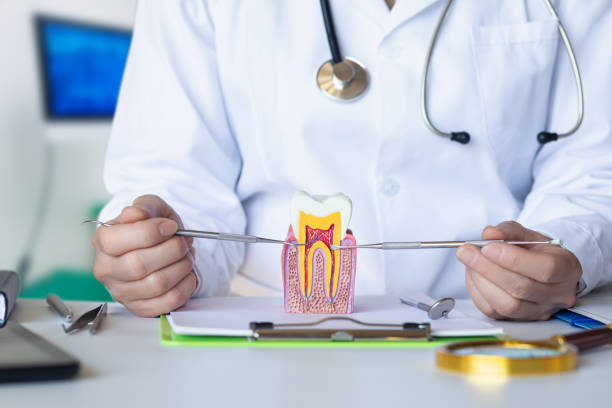 Best 24-Hour Emergency Dental Care in Eulyptus Hills, CA
